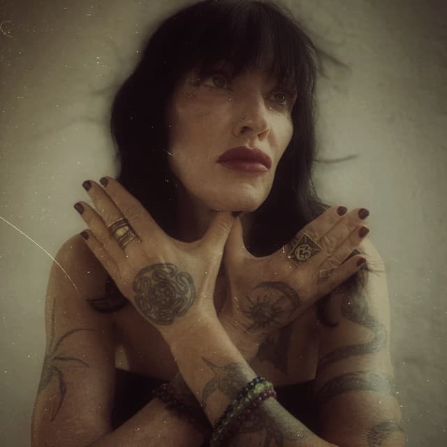 Artemis X
