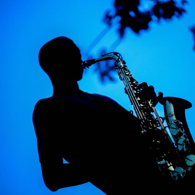 A Tribute to the Bari Sax Heroes
