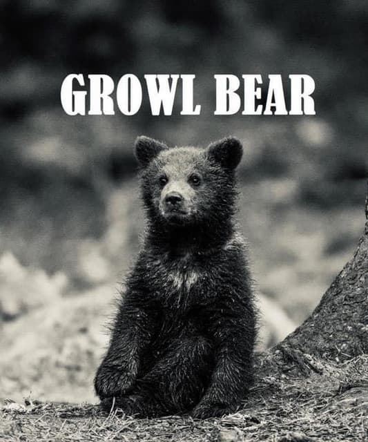 Jeremy Button of Growl Bear