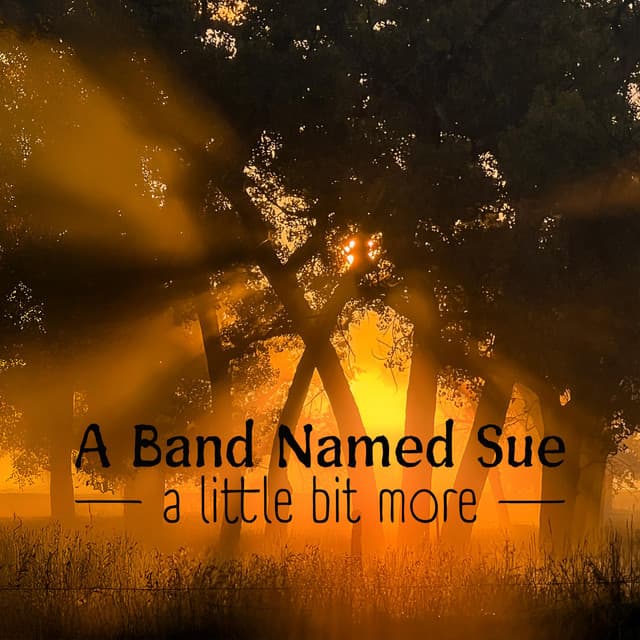 Band Named Sue