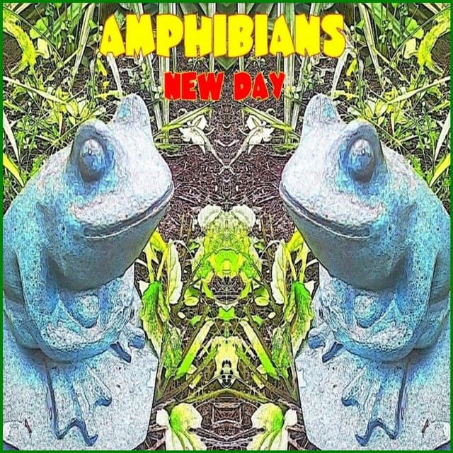 Aren't We Amphibians with Aren't We Amphibians , Dear Maryanne Rec Room, Buffalo