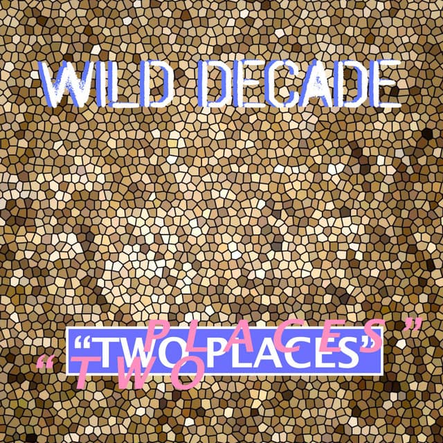 Wild Decade